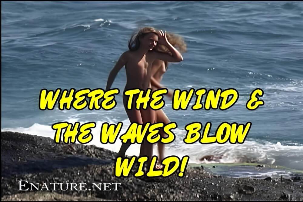 [NwDL] Enature - Where the Wind and the Waves Blow Wild!