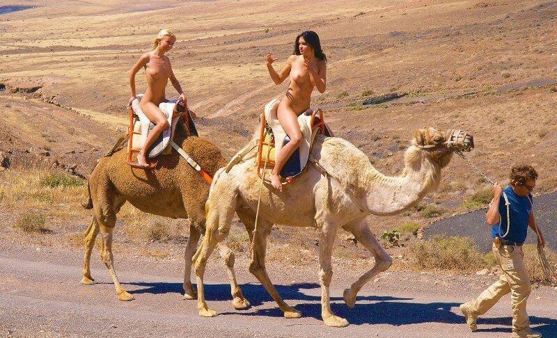 [NwDL] Funny Moments Life pics